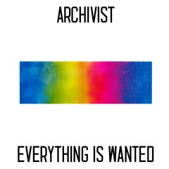 Archivist - Everything Is Wanted (pie eye collective re-mix)