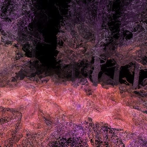 Fractaliceanu - Noaptea In Padure (1h cut version) [148-152 BPM]