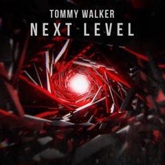 Tommy Walker - Next Level (Original Mix)