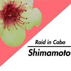 Shimamoto