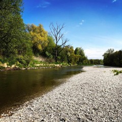TomGpunkt - grundlos