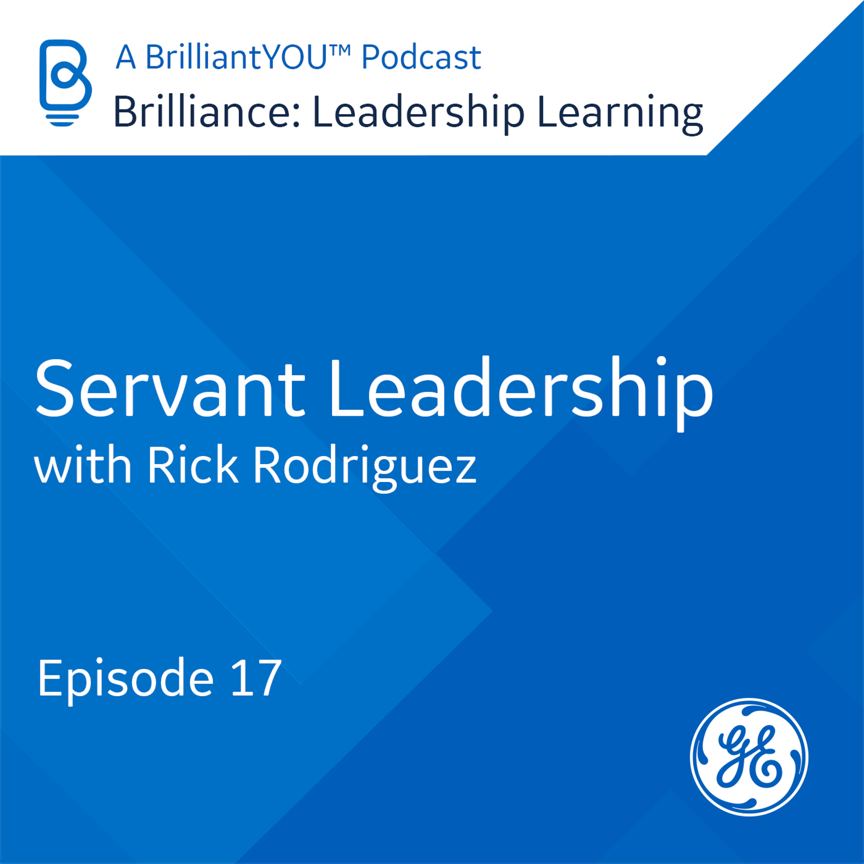 Brilliance: Leadership Learning