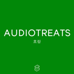 AUDIOTREATS - 호랑