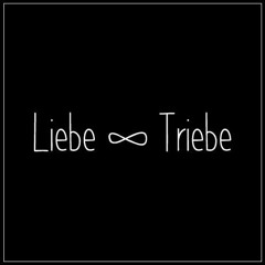 Matthias Kick @ Liebe & Triebe (Ingolstadt)