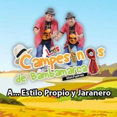 MIX-CAMPESINOS-DE BAMBAMARCA-DJ LINE-EL REY DEL HUAYNO PERUANO