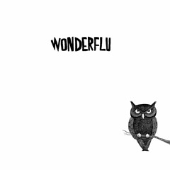 Wonderflu - Rob a supermarket (feat. Troy von Balthazar)