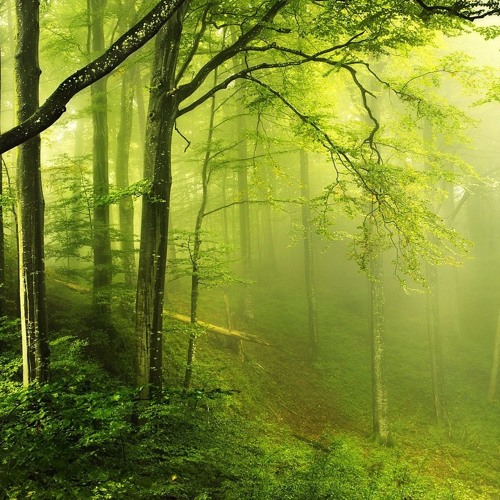 8Bit S U C C remixes