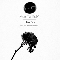 Max TenRoM - Flavour (Nils Andreas remix) SNIPPET
