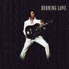 Burning Love Makina