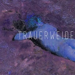Les Six - liveset at Trauerweide Sessions 2017-05-06