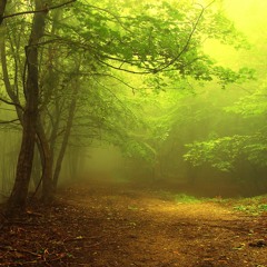 A Journey To The End Of Jazz (feat. Jesper & Vesa)