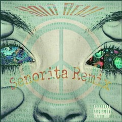 Senorita Remix