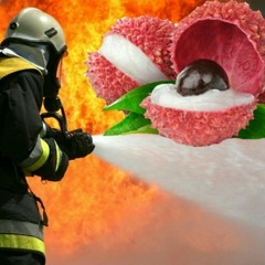 Lit wie 1 Litschi - MCul8er (prod. by Viceezo)