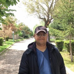 Shahin Najafi Roya