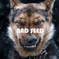 BAD SEED (lease for $25)