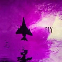 WAY TO FLY DON CORLEONE FT LBBHP & LBBFAMM