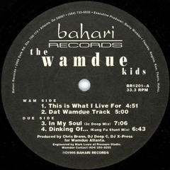 The Wamdue Kids - In My Soul (3c Deep Mix)