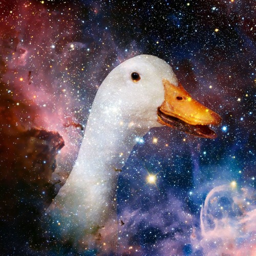 Wubbaduck & Aiden - Stardust [MTCH RELEASE]