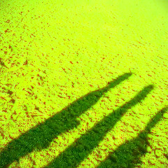 Sound Impression of Three Of Live