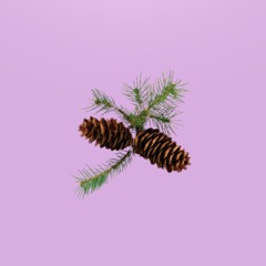 Strange Seasons (prod. Golden Buddha)