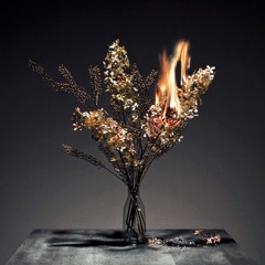 Wildflowers - He's Not Mine