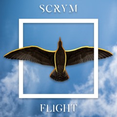 Flight