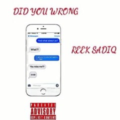 ReekSadiq - Did You Wrong