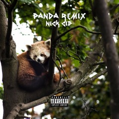 "Panda" (Remix) - Nick Cip