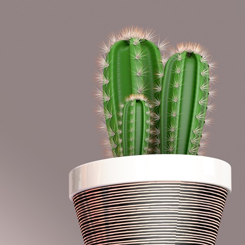 Jimmy Pé - PureBeauty