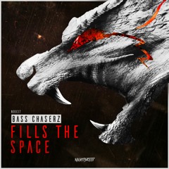 Bass Chaserz - Fills The Space