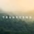 Artwork for transcend