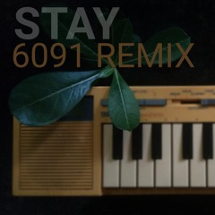 Zedd stay 6091 Remix