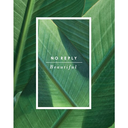 노리플라이(no reply) - 집을 향하던 길에