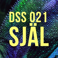 DSS 021 | Själ