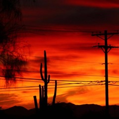 Benji - Agent Orange