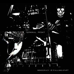 Democracy Is Falling Apart (DEMO)