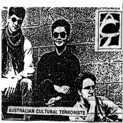 Anyone's Guess (Australian Cultural Terrorists)