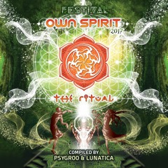 Djantrix & Modual - Back To The Rituals (OUT NOW)