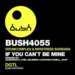 Drumcomplex & Misstress Barbara - If You Can´t Be Mine - BUSH RECORDS