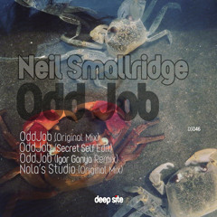 Neil Smallridge - Odd Job (Original Mix)