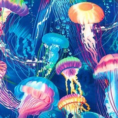 Psychedelic Jelly - Summer Promo MIX Free D/L