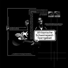 mei zhiyong & dave phillips LP (urbsounds) exc A2