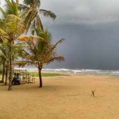 The Beach