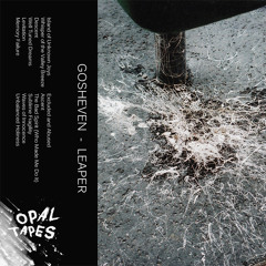 Gosheven - Well Tuned Dreams [Opal Tapes]