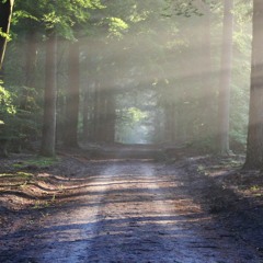 MBC - Live - Set - 2016