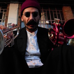 An Hippo Watchin' The Moon