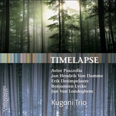 Kugoni Trio - Après l'orage - Benjamien Lycke on Radio 3