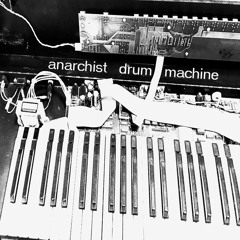 Anarchist Drum Machine - False Witness