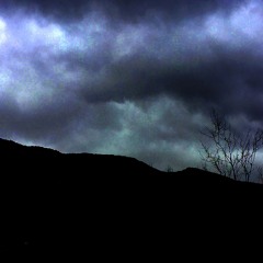 Nullus - Never Was - 02 Delusion