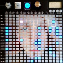 Unrelenting Matrix (Arturia Matrixbrute Techno Demo)
